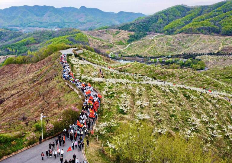 中國(guó)·鳳城大梨樹第六屆徒步節(jié)暨葡萄文化節(jié)精彩紛呈